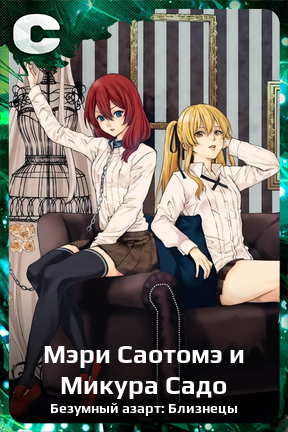 Карточка персонажа Мэри Саотомэ и Микура Садо